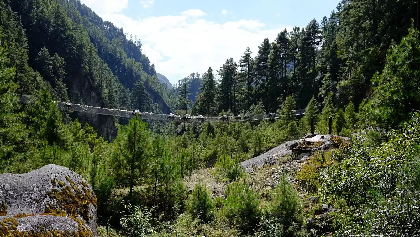 Suspension Bridge (In between Lukla and Namche)