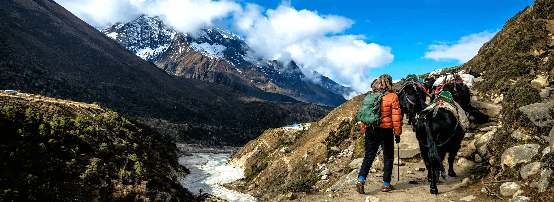 Everest Base Camp Trekker